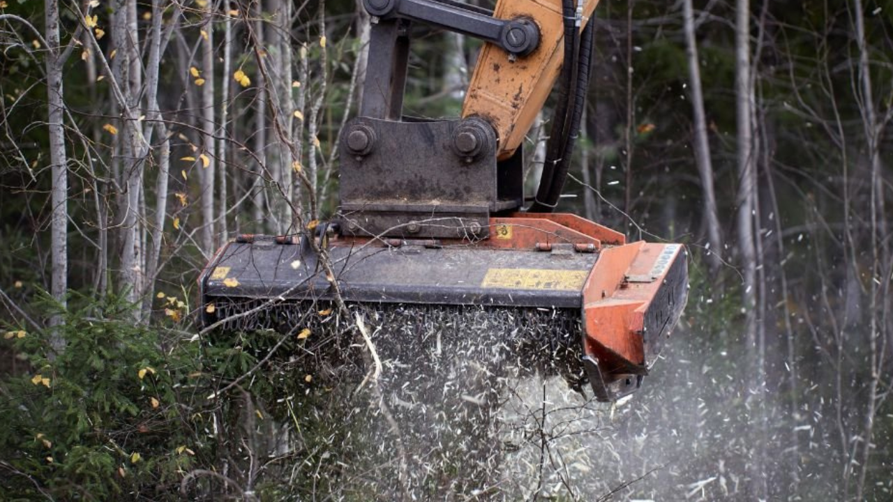 Analysis of Forestry Mulching Reveals Its Positive Impact on Environmental Conservation